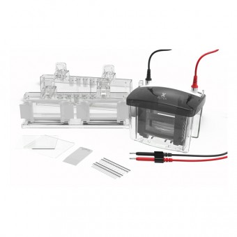 SISTEM ELECTROFOREZA VERTICAL - VOLT VX80