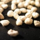 EXTRACT HIPOFIZA CRAP (CPE)